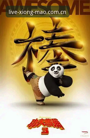 熊猫体育安卓版下载更新，避开这3个雷区的实用技巧